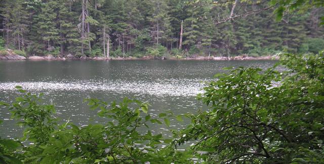 Jacks Pond on the way to Thumb